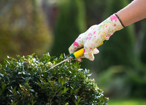 Team of gardeners working in a Downham garden