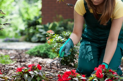 Team working on a medium garden clearance in a suburban backyard