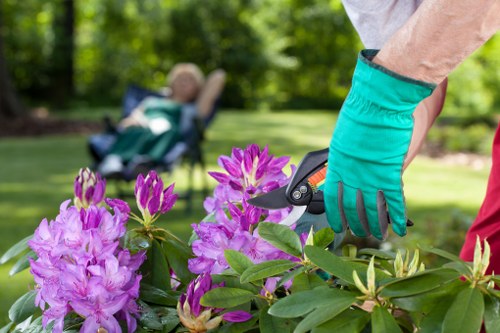 Eco-friendly garden with native plants in Downham