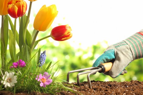 A gardener wearing a protective glove is using a hand fork to loosen dark, moist soil in a garden bed adjacent to a vibrant flower bed featuring yellow and red tulips, as well as various small flowering plants with pink, white, and purple blooms. The flower bed is densely planted, with healthy green foliage contrasting against the bright blossoms. In the background, there is a lush, leafy backdrop indicating a well-maintained outdoor space, typical of gardens in Downham. The image captures a moment of outdoor gardening activity, emphasizing soil cultivation and planting in a neat, organized garden environment with natural daylight, suitable for professional gardening services aimed at enhancing garden growth and aesthetic appeal in local areas such as Downham.