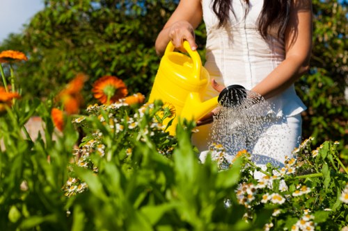 A woman in a white top is watering a vibrant flower bed in a well-maintained garden, which features a mix of blooming flowers, lush green foliage, and neatly trimmed hedges. The garden's layout includes a grassy lawn area in the foreground, with small white daisies interspersed among the plants. The background reveals tall, leafy trees providing shade, and a paved pathway runs along one side of the garden. The scene is set on a bright, sunny day, with clear natural light highlighting the varied textures and colours of the plants and flowers. This outdoor space demonstrates a typical landscaped garden that may be serviced by local gardening providers such as Gardening Services Downham, ensuring detailed lawn care, planting, and maintenance in the Downham area. The woman’s gardening activity reflects ongoing outdoor maintenance, aligned with professional garden management in South East England, particularly within the Downham postcode district.